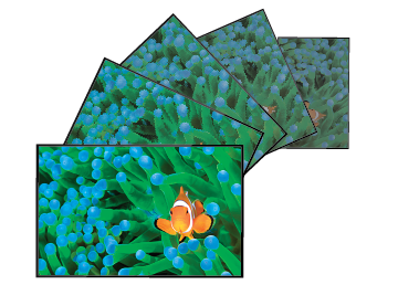 Aspect_Conversion-01.jpg